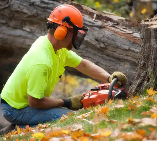 tree services Harrod